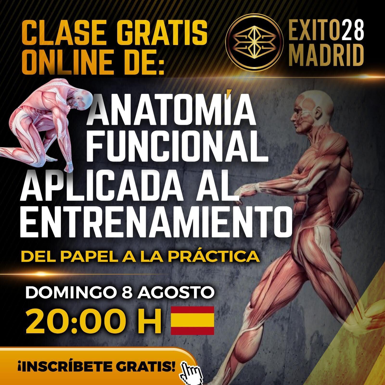 Anatomía del entrenamiento funcional